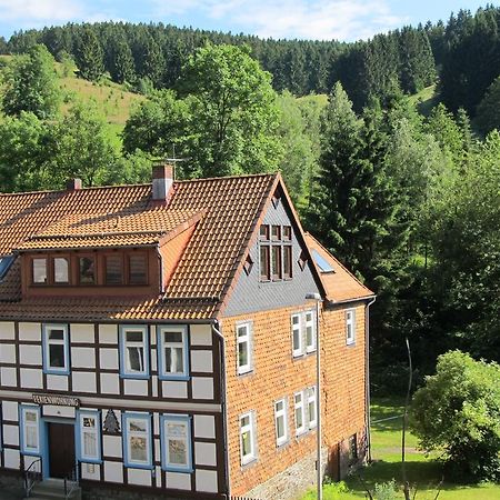 Hexenstieg House Lerbach Apartment Osterode am Harz Luaran gambar