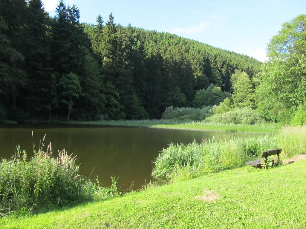 Hexenstieg House Lerbach Apartment Osterode am Harz Luaran gambar